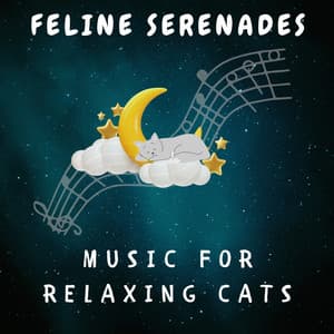 Feline Serenades: Music for Relaxing Cats - Relax My Cat