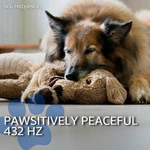 Pawsitively Peaceful: 432 Hz - Dog Frequencies