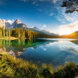 Música Para La Relajación: Calma Y Quietud - Alvara de las Tardes