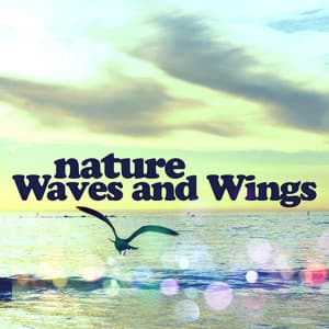 Nature: Waves and Wings - Mediation Sounds of Nature