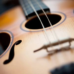 Flute - Violin Music