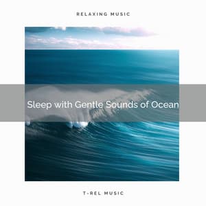 Sleep with Gentle Sounds of Ocean - Wave Sleep