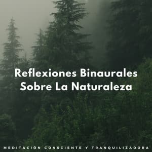 Reflexiones Binaurales Sobre La Naturaleza: Meditación Consciente Y Tranquilizadora - Chakra de corazón abierto de 528 Hz