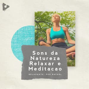 Sons da Natureza Relaxar e Meditação - Sons da natureza HD