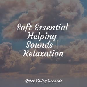 Soft Essential Helping Sounds | Relaxation - Soothing Baby Music
