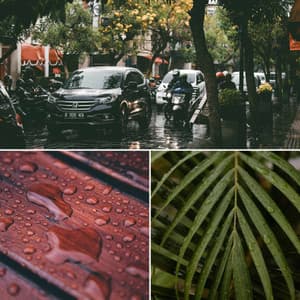 Elegant Backdrop for Cozy Thunderstorms - French Cafe Jazz Society