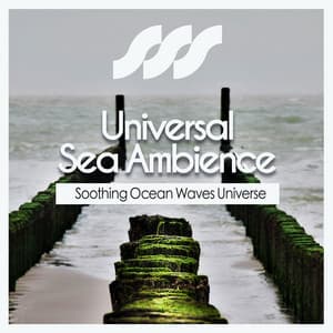 Universal Sea Ambience - Soothing Ocean Waves Universe