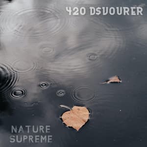 Flutter Rain Sounds - Nature’s Supreme