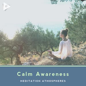 Calm Awareness - Meditation ASMR