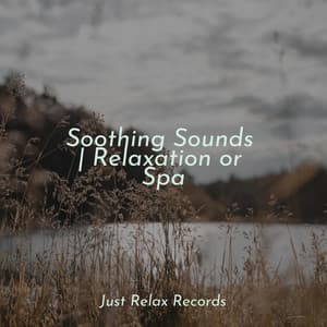 Soothing Sounds | Relaxation or Spa - Música para Relajarse Profundamente