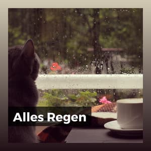 Alles Regen - Regen zum Schlafen