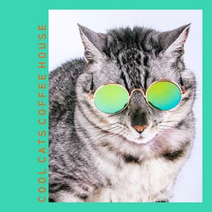 Bossa Nova Tabby Cat - Cool Cats Coffee House