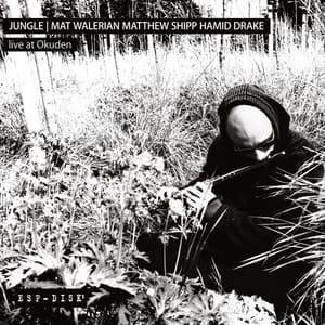 Live at Okuden - Mat Walerian