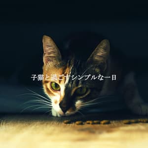 子猫と過ごすシンプルな一日 - Slow Jazz
