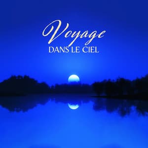 Voyage dans le ciel: Soin de nettoyage énergétique puissant - Zone de Détente