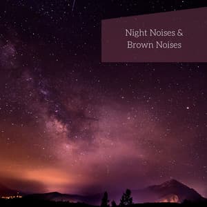Night Noises & Brown Noises , Loopable - Night Nature Sounds