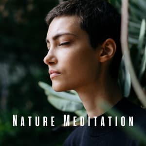 Nature Meditation: Relaxing Sounds for Inner Balance - Dao Nature