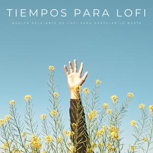 Tiempos Para Lofi: Música Relajante De Lofi Para Despejar La Mente - Chill Relajente