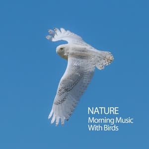 Nature: Morning Music With Birds - Nature Sounds With Music