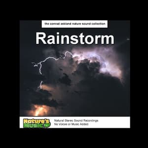 Rain Storm Nature Sounds - Nature's Music
