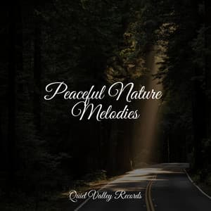 Peaceful Nature Melodies - Música Zen Relaxante
