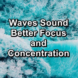 Waves Sound Better Focus and Concentration - Yoga & Meditation