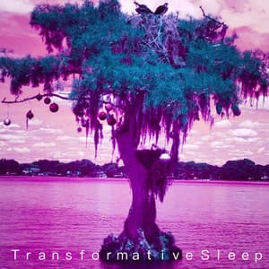 we exist as vibrations - Aloysius Scrimshaw