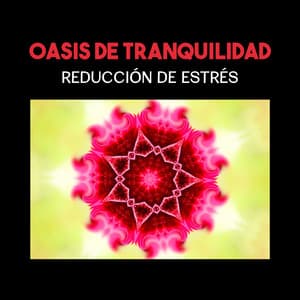Oasis de Tranquilidad - Academia de Música para Reducir el Estrés