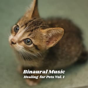 Binaural Music: Healing for Pets Vol. 1 - Calm Pets Music Academy