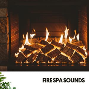 Fire Spa Sounds: Crackle & Calm - Dog Relaxation