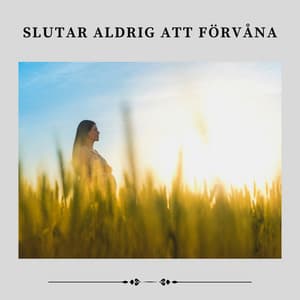 Slutar Aldrig att Förvåna - Avslappnande Meditation Akademi
