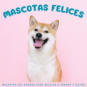 Mascotas Felices: Melodías Del Bosque Para Relajar A Perros Y Gatos - Naturaleza épica