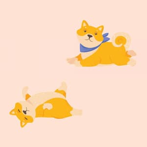 Magical Backdrop for Doggy and Lullaby - Chill My Pooch