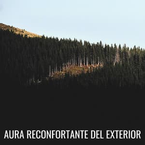 Aura Reconfortante Del Exterior - Grabaciones de transmisiones externas