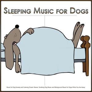 Sleeping Music for Dogs: Music for Dog Anxiety and Calming Ocean Waves, Soothing Dog Music and Background Music for Dogs While You Are Away - Sleeping Music For Dogs