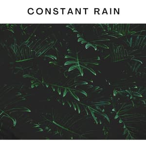 Constant Rain - Forest Sounds