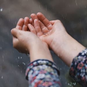 Cleansing Rhythms: Healing Rainfall Melodies - DNA Academy