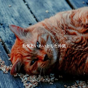 和気あいあいとした仲間 - Cafetería Jazz