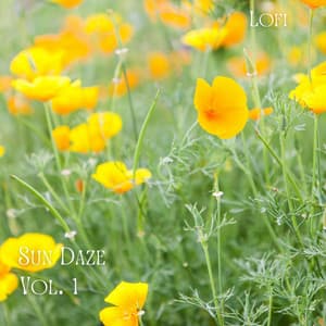 Lofi: Sun Daze Vol. 1 - Chill