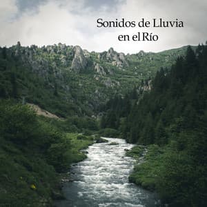 Sonidos de Lluvia en el Río - 7 Chakras