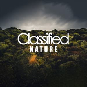 Classified Nature - Relaxing Music Therapy