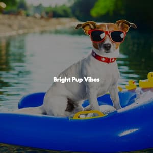 Bright Pup Vibes - Lunch Time Jazz