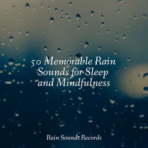 50 Memorable Rain Sounds for Sleep and Mindfulness - Sleepy Night Music