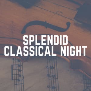 Splendid Classical Night - Brain Power Amadeus