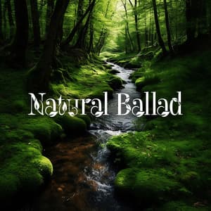 Natural Ballads: Quiet Contemplation, Embracing Harmony, Beauty of Balance - Kings of Nature