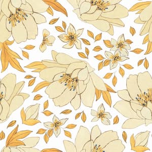 Fabulous Background for Comfort Universes - Latin Jazz Playlist