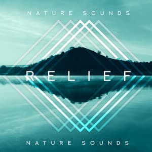 Nature Sounds Relief: Soothing New Age Music for Healing, Relaxation & Mindfulness - Soothing Sounds Universe