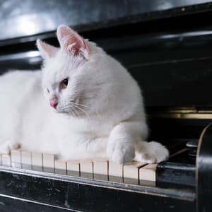 Pets Comfort with Jazz Piano - Relaxing Pet Music