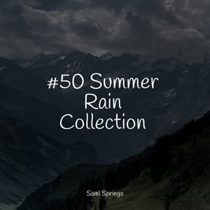 #50 Summer Rain Collection - Meditation Relaxation Club