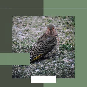 Music for Recharging Routines - Soft Jazz Moment